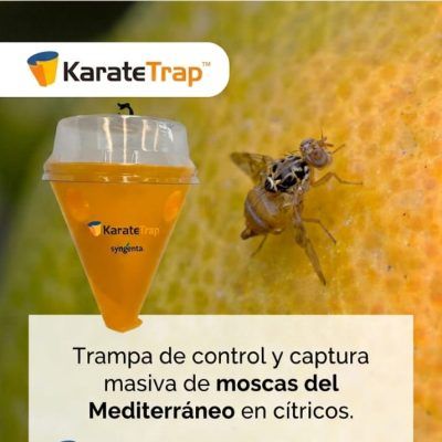 KARATE TRAP