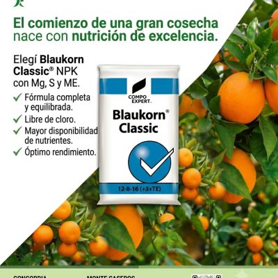 Blaukorn® Classic 12-8-16(+3+TE)
